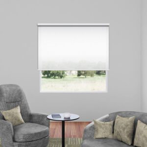 Classic White Plain Translucent Roller Blind
