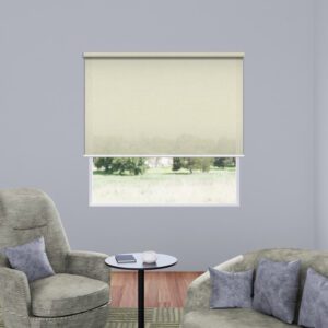 Simple Beige Plain Translucent Roller Blind