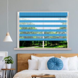 Azure Blue Translucent Duplex / Zebra Blinds